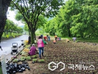 단양군, 각지서 마을 주민들 자발적 마을 환경 가꾸기 이어져