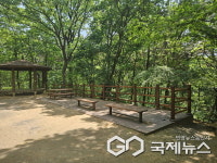용인시, 다올·동진원1근린공원 나무 계단 정비 완료