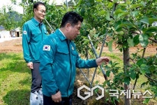 김창규 제천시장, 우박·과수화상병 피해 현장 확인
