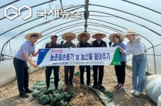 대구시 농신보, 임직원들 및 동고령농협...고령군 성산면 농가 일손돕기 실시