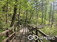 용인시, 처인·기흥 일원 숲길 3곳 정비 완료