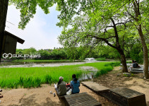 [날씨] 대구/경북, 새벽 10도 내외 선선→낮 기온 30도 무더위