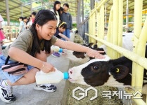 청주 주중초등학교, 오감만족 우리 고장 체험활동 실시