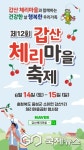 음성 제12회 갑산체리마을축제 오는 14~15일 개최