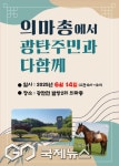 물 위를 달리듯 수천 리, 주인의 마지막 뜻을 품고 돌아온 말