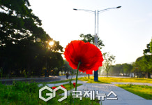 [국제포토] 아침 햇살 내린 공원