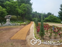 사천 망산공원, 수국으로 수놓은 명품 수국정원 탄생