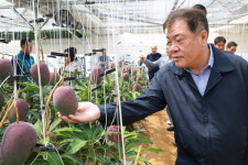 산청군, 신소득 작목 육성지원사업 결실