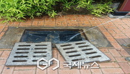 영주2동, 장마철 대비 집수정·맨홀 청소 실시