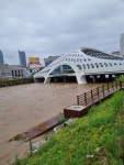 [속보] 대전 동구, 호우로 목척교~가오교 언더패스 전면 통제