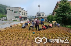 단양군 매포읍 평동2리 꽃정원, 형형색색 만개