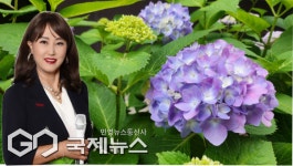 가수 김지연, 4년의 깊이 담은 신곡 가슴이 말해 주겠죠 발매