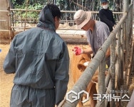 충북도, 여름철 재난 대비 동물의료지원반 운영