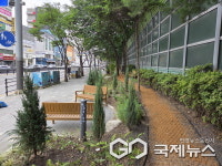 용인시, 명지대사거리 완충녹지 개선