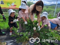 충북교육청 유아교육진흥원, 감자 캐며 기후위기 배워요