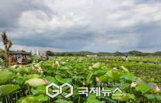 시흥 연꽃테마파크, 연이 불러오는 3가지 행복