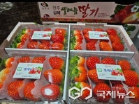 삼례중앙종묘 농약사 김태형 대표  간담회 개최