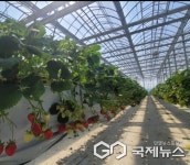 삼례중앙종묘 농약사 김태형 대표  간담회 개최