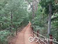 용인시, 아람근린공원 걷고 싶은 공원으로 새단장