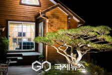 남양주 계곡 가볼 만한 곳, 축령산과 계곡이 조화롭게 이루어진 남양펜션 주목