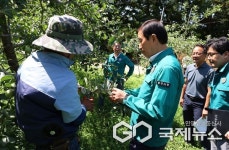 충주시, 무더위 장기화 폭염 대응체계 전면 가동