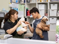 인천시의회, 유기동물 보호시설 점검...예산 확대 시급