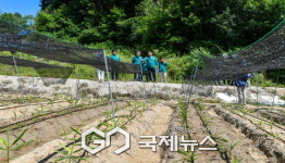 영주시, 폭염가뭄 피해 대비 현장점검 실시