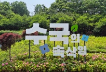 부천시, 여름 수국보러 오세요!