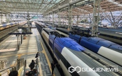 [속보] 코레일 1호선 성환~신창·경부선 서울~대전 등 운행 중지