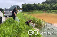 충주시, 토종어류 버들붕어 2천 마리 방류