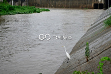 [속보] 서산 해미면 휴암리 일원 차량통제...이틀간 500mm 폭우
