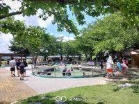 영천시, 여름방학 맞아 어린이 물놀이장 6곳 개장