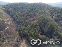 진주시, 소나무재선충병 방제 3년 연속 우수기관 선정