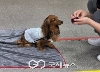 커넥팅더닷츠, 안양소년원에 반려동물 교감 프로그램 시범 운영…정서 회복·사회성 향상 도모