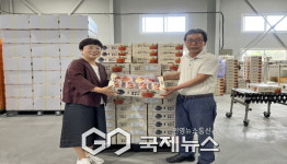 영주시 복숭아, 올해 첫 해외 수출길 올라