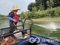 용인시, 시민의 휴식처 기흥호수 여름철 녹조확산 방지 총력 대응