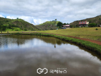 [카가얀데오로] 평화로운 고산 목장