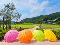 안성 금광호수 수석정에 양심양산 등장