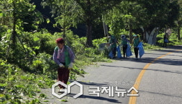 소천면 새마을지도자협의회, 마을 풀베기 행사 성료