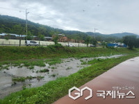 용인시, 신갈천·대대천 생태교란식물 제거