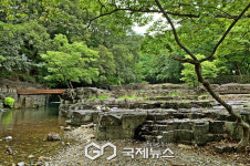 여름엔 경주로!…바다·숲·폭포 아우른 힐링스팟 20선 공개