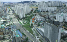 국화 향기 잔잔한 길, 가을 미추홀구 바람길 숲!