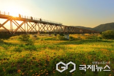 김해낙동강레일파크, 선셋 레일바이크 운영