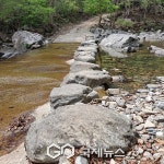 Naver 搜索结果照片 6