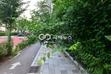 [미디어 민원] 민의를 살피는 행정부와 지자체