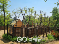 성남 원도심 새 놀이터, 아이들 인기 쉼터로 자리매김