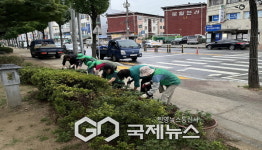 하망동, 원당로수목원에 여름꽃 심기 실시