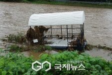 이 시각 남양주시 진접읍 왕숙천