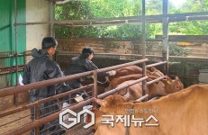 양산시, 여름철 자연재해 대응...가축 진료·방역 활동 강화