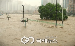 경기북부 200㎜ 안팎 폭우, 전철 운행 중단...SUV 차량 신호등 들이받고 70대 숨져.